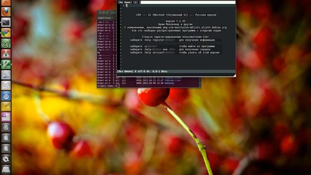 Анимированный Aero Snap в Ubuntu Natty смотреть онлайн