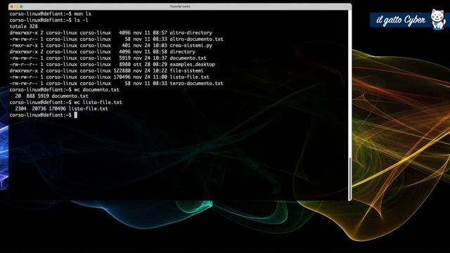 Corso Linux: comandi grep e wc - Tutorial Italiano смотреть онлайн