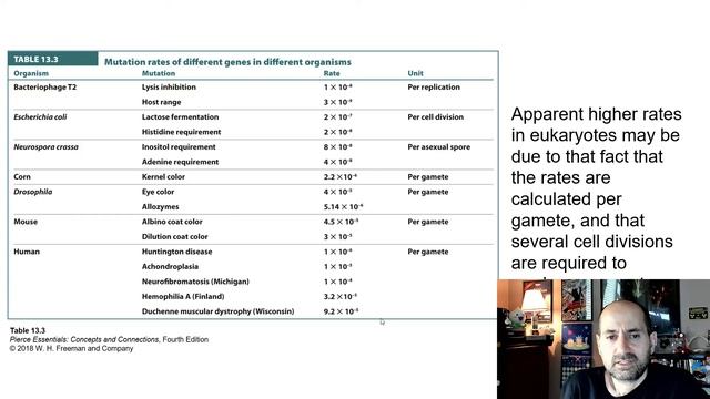 BIOL2416 Chapter 13 Gene Mutation and DNA Repair смотреть онлайн