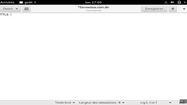 Serveur DNS sous Linux (Installation & Configuration) смотреть онлайн