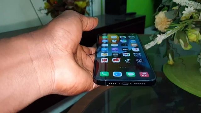 iOS 15.2 on Apple iPhone 12 Pro Max: 1 DAY LATER смотреть онлайн