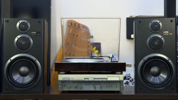 Pioneer PRIVATE S-Z83V