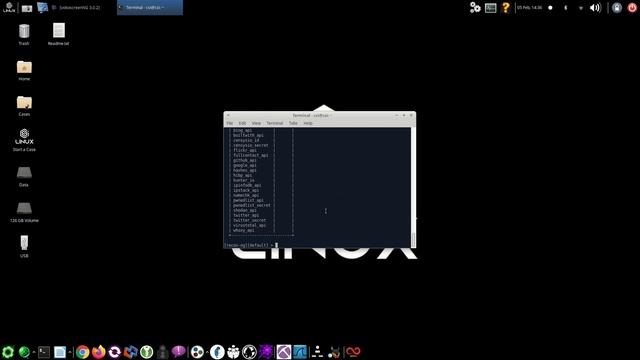 CSI Linux 2021 - Starting Recon NG And Adding Keys смотреть онлайн