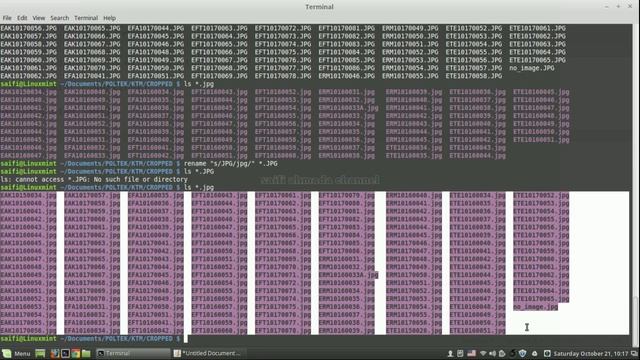 RECURSIVE change file extension command line linuxmint смотреть онлайн