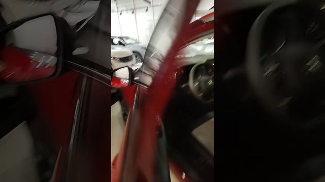 20 августа 2024 г.