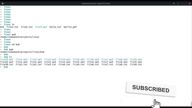 Linux from Basic | Basic Linux Commands (Hindi) | Top 10 Commands with Good Explanation 🔥 смотреть онлайн