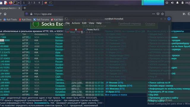 Como esconder seu ip usando proxychains Kali linux смотреть онлайн