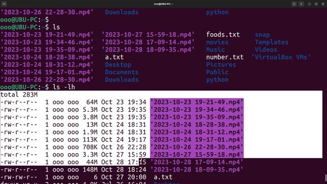 Mastering the Sort Command in Linux: A Comprehensive Guide смотреть онлайн