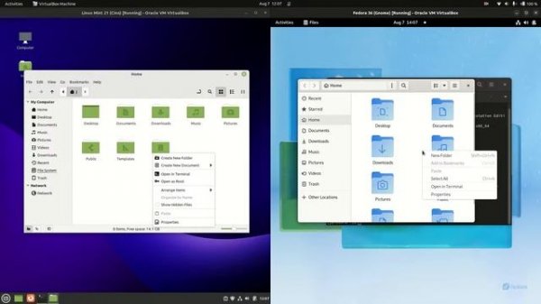 Linux Mint 21 vs Fedora 36