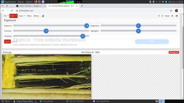 Hack The Box - Forest (Stego Challenge) - Parrot Sec OS смотреть онлайн