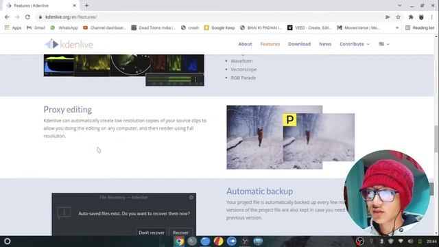 ⚡ BEST VIDEO EDITOR FOR LINUX ⚡ | How To Edit Videos IN LINUX | KdenLive | LeginoX смотреть онлайн