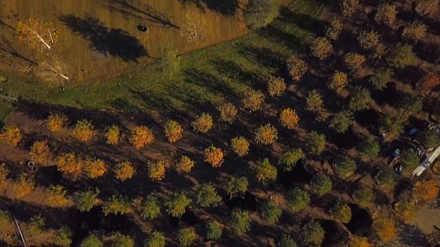 Above Apple Park [4k] DJI Mavic Pro 12-21-17 смотреть онлайн