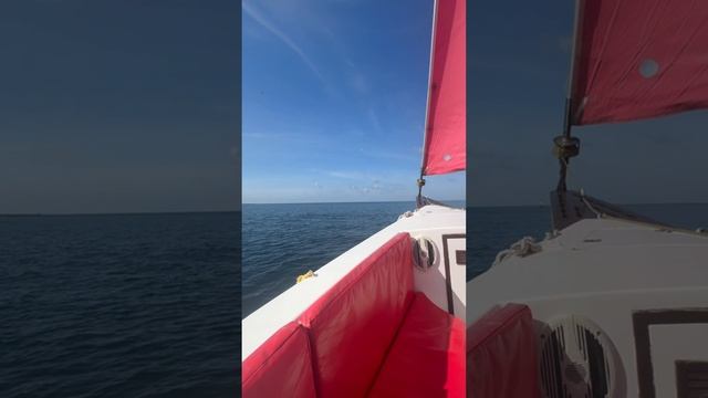 Сочи и анапа 2024 сентябрь отдых в отелях Сочи Парк и Санмарин🩷#сочи #анапа#сочипарк#санмарин