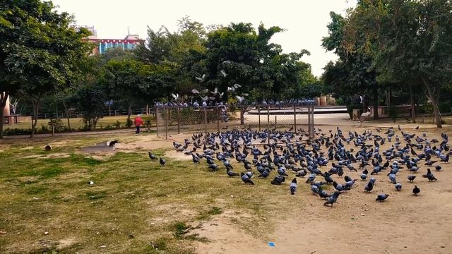 Bani Park Jaipur смотреть онлайн
