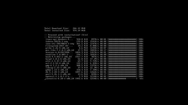 Step-by-Step Newbies Guide to Arch Linux (EXTREME EDITION) смотреть онлайн