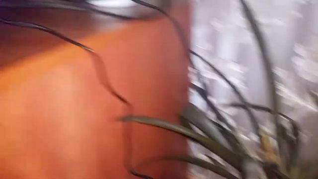 Beelink gt1 problems part 2 смотреть онлайн