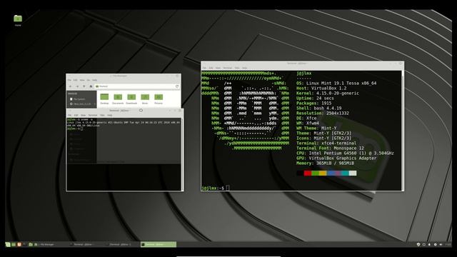 The Linux Mint 19.1 XFCE distro смотреть онлайн