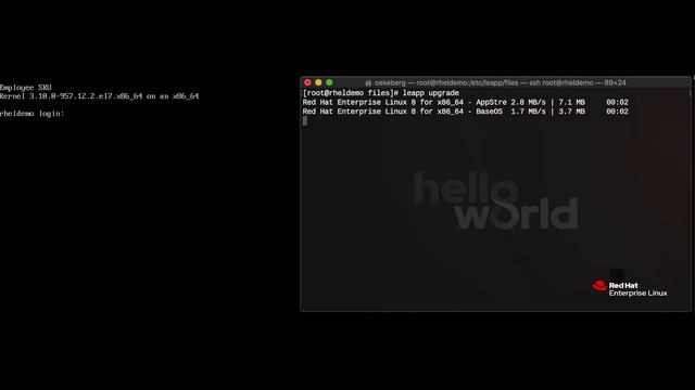 Red Hat Enterprise Linux 7.6 - 8.0 in place upgrade demo смотреть онлайн