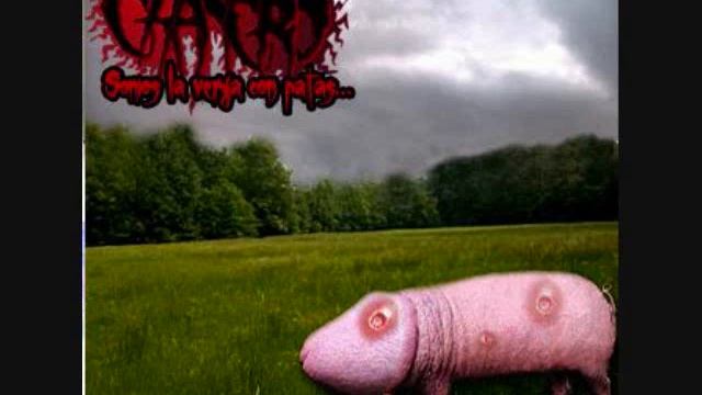 Chancro - Me Sudan Los Webos смотреть онлайн