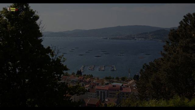 Test: Da Vinci Resolve in CentOS. 02/04/2019 смотреть онлайн