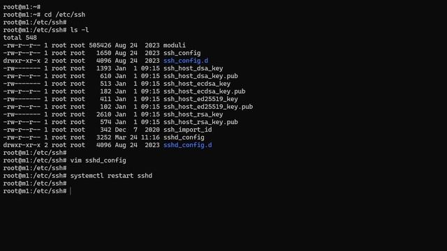 Fixing 'client_loop: send disconnect: Connection reset' and 'Broken pipe' SSH Errors смотреть онлайн