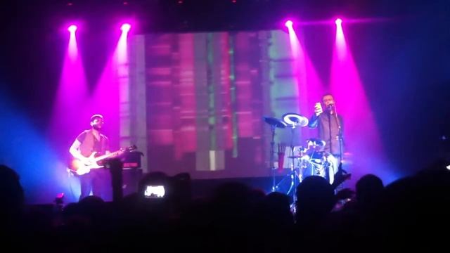 Dolphin - Игрушки смотреть онлайн