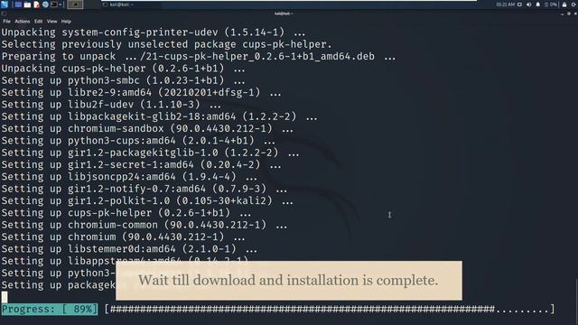 Install Chromium on Kali Linux смотреть онлайн
