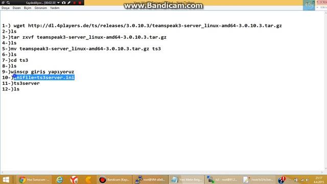 Teamspeak3 Linux Server Kurulumu HusSunucum смотреть онлайн