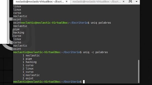 Curso Administración Linux - Comando uniq. Vídeo 16 смотреть онлайн