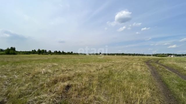 9850177 смотреть онлайн