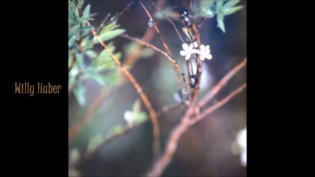 Willy Huber - On the Sunny Side смотреть онлайн