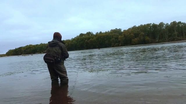 Камчатка 2019 Кижуч реки Большая смотреть онлайн