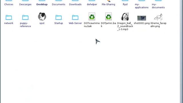 Miniaturas de video en Puppy Linux смотреть онлайн