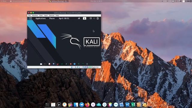 Parrot OS 4.8 VS Kali Linux 2020.1b смотреть онлайн