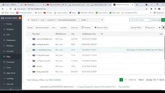 INSTALL CANDY CBT di aaPANEL смотреть онлайн