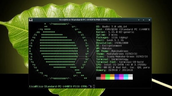 Bodhi Linux 7.0 Passo a passo de instalação da distro e do LibreOffice 7.6
