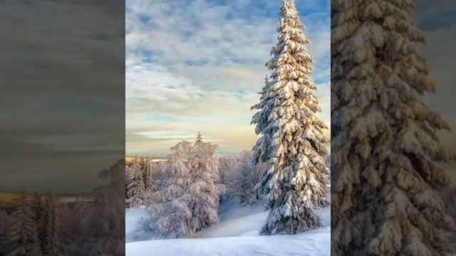 Красивые фотографии под музыку рок - группы Nickelback . Авторское видео . смотреть онлайн