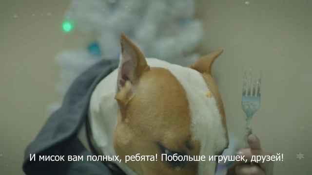 Двуногим от хвостатых! Поздравления с Новым годом! смотреть онлайн