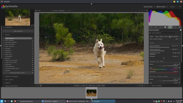 Simple and Quick Photo Editing using Darktable in Linux смотреть онлайн