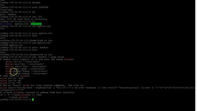 Part 04 Linux Users and Groups (user directory/path/alias) смотреть онлайн