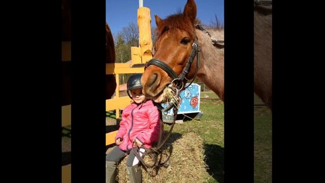 Благодарности пост от 2 мая смотреть онлайн