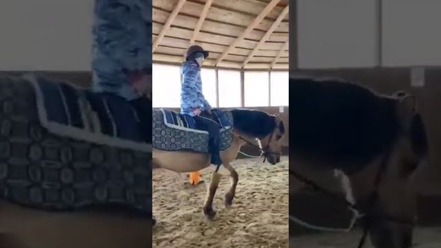 Курс «Интенсив - 23» смотреть онлайн