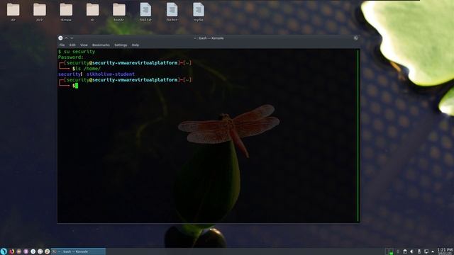 How to Enable Root User and Managing Other User Account in Parrot OS смотреть онлайн