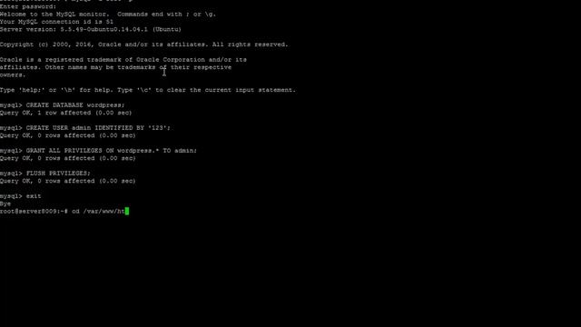Install and configure wordpress in VPS on Linux Ubuntu 14.04 смотреть онлайн