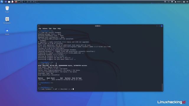 Data Recovery di Kali Linux смотреть онлайн