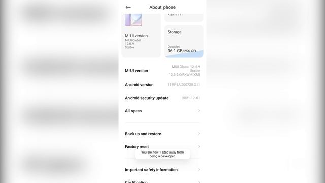 How To Enable Developer Settings in Xiaomi MIUI 12.5 смотреть онлайн