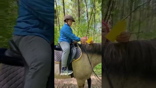 СказкоИппотерапия. Лесные спасатели смотреть онлайн