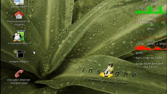 Acessar os manuais Insigne Linux 5.0 Momentum смотреть онлайн