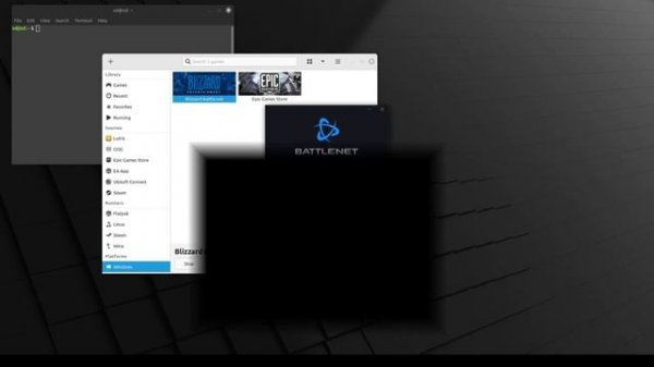 How to play Overwatch 2 on x86 Linux Mint 2024